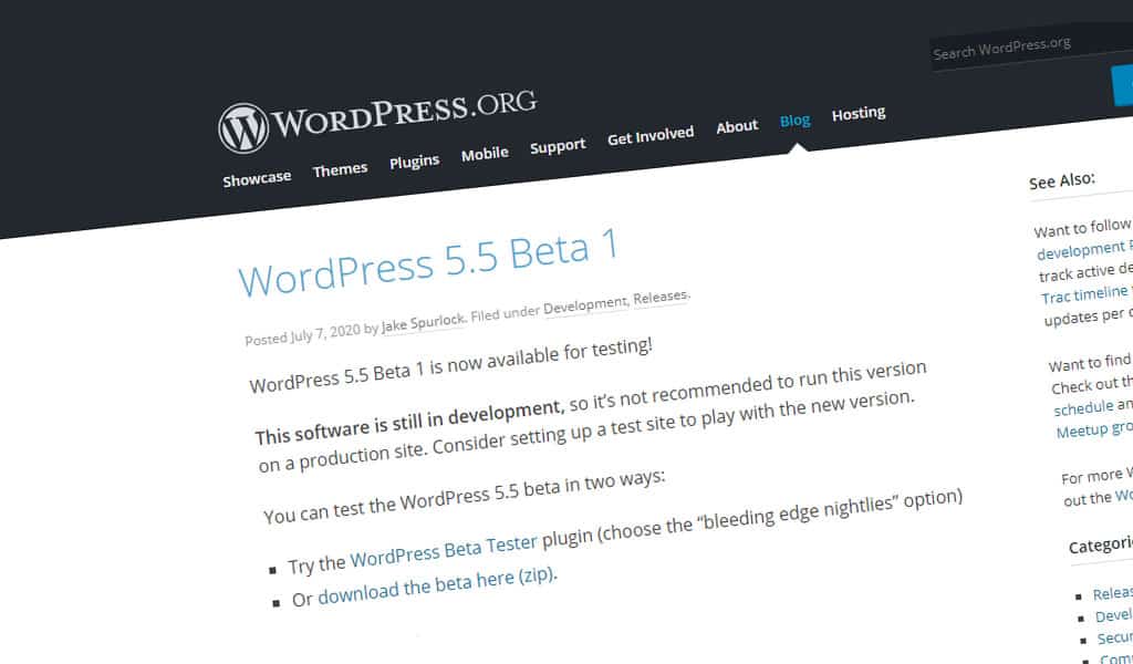 WordPress 5.5 Beta 1